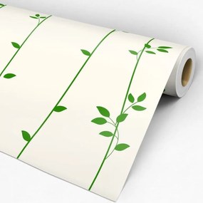 Papel de Parede Floral Creme e Verde 0.52m x 3.00m