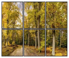 Kit 6 Quadros Decorativos Fall - FR 51180