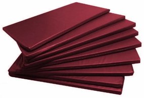 10 Colchonetes Academia - 100 X 60 X 3 - D33 - Orthovida (Vinho)