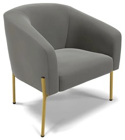 Poltrona Decorativa Pé de Ferro Dourado Stella Suede D03 - D'Rossi - Grafite