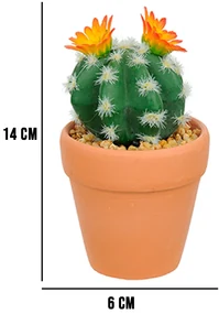 Vaso com Cacto Ferocactus Orcuttii Verde com Flor Amarela 14x6 cm - D'Rossi