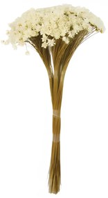 Flor Artificial Sempre Viva Natural Seca 28Cm - Branco