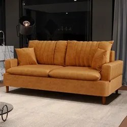 Sofá 2 Lugares 160cm Living Pés de Madeira Veras D05 Sintético Whisky