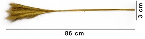 Capim Seco Artificial Rabo de Raposa Natural 86 cm  - D'Rossi