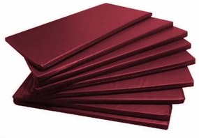 10 Colchonetes Academia - 100 X 60 X 3 - D33 - Orthovida (Vermelho)