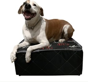 Cama Box Para Pet 50X50X22Cm, Cães E Gatos Orthovida