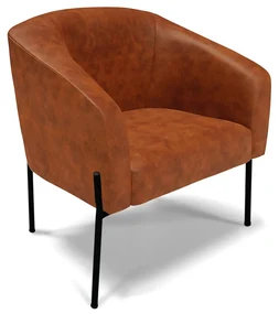 Poltrona Decorativa Pé de Ferro Preto Stella Sintético PU D03 - D'Rossi - Nozes