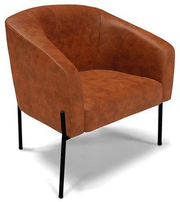 Poltrona Decorativa Pé de Ferro Preto Stella Sintético PU Nozes D03 - D'Rossi