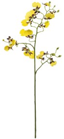 Haste Orquídea Oncidium 60cm - Amarelo  Amarelo