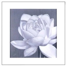 Quadro Decorativo Flor de Lótus Branco - KF 50113 30x30 (Moldura 520)
