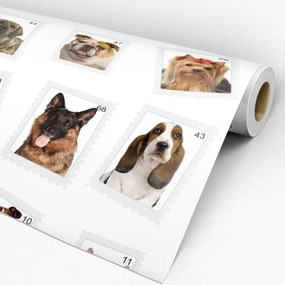 Papel de parede adesivo animal fotos cachorros