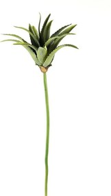 Suculenta Verde 75Cm - Bekasa