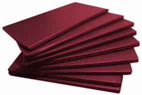 5 Colchonetes Gin�Stica, Academia E Yoga - 90 X 42 X 2 (Vermelho)