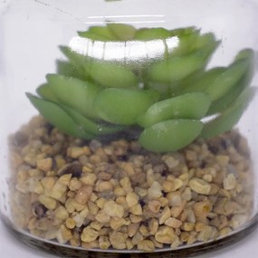 Folhagem Suculenta de Pendurar com Vaso de Vidro Verde 11,5 cm F04 - D'Rossi