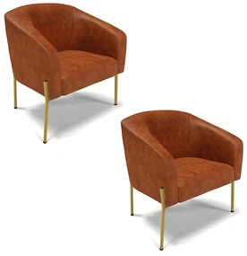 Poltrona Pé de Ferro Dourado Kit 2 Stella Corano Nozes D03 - D'Rossi