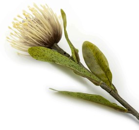 Haste de Flor Artificial Protea Creme Outono 41 cm - D'Rossi