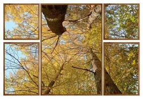 Kit 5 Quadros Decorativos Árvore Amarela - FR 51209