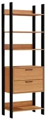Guarda Roupa Closet Industrial 2 Gavetas 4 Prateleiras TW401 Freijó/Pr
