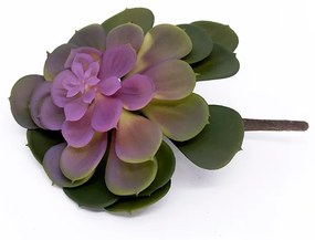 Suculenta Planta Artificial Verde e Rosa 14x16 cm - D'Rossi