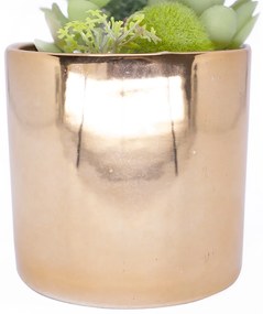 Vaso Decorativo Dourado com Cactos e Suculenta Artificial 19x8 cm F04 - D'Rossi