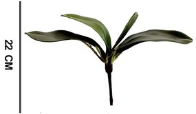 Folha Orquidea Artificial Verde 22 cm - D'Rossi