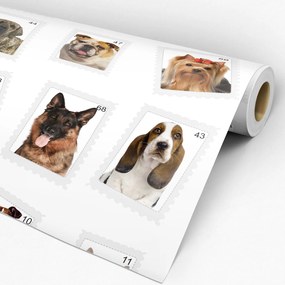 Papel de parede adesivo animal fotos cachorros
