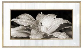 Quadro Decorativo Lírio Tons de Cinza 1 - FR 47687