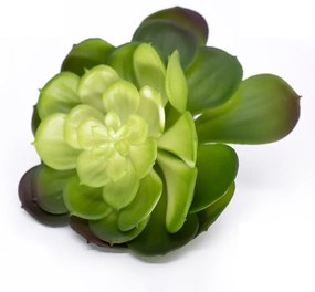 Suculenta Planta Artificial Verde 14x16 cm - D'Rossi