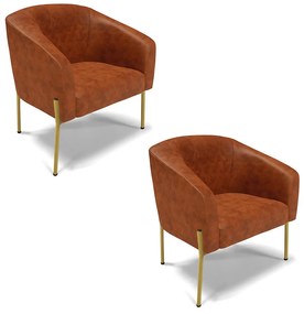 Poltrona Decorativa Pé de Ferro Dourado Kit 2 Stella Sintético PU D03 - D'Rossi - Nozes