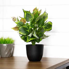 Vaso Decorativo com Planta Artificial para Sala Verde 22 cm - D'Rossi