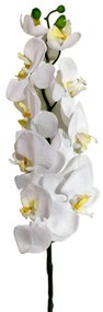 Flor Orquídea Phalaenopsis Artificial Branco 77 cm - D'Rossi