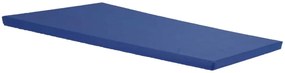 Colchonete 150 X 60 X 5 Com Espuma D20 Orthovida (Azul)