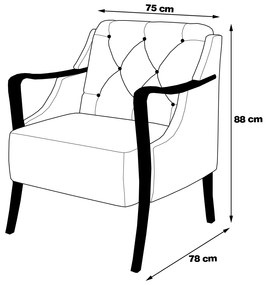 Kit 2 Poltronas Decorativas Braços em Madeira Hand PU Preto G45 - Gran Belo