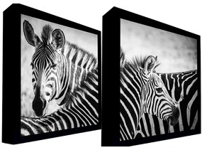 Conjunto de Quadros Decorativos 135x80 cm Zebra 022 com Moldura Laqueada Preto - Gran Belo